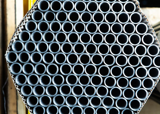 Permutador de calor e tubo de aço inoxidável sem emenda da caldeira 600mm