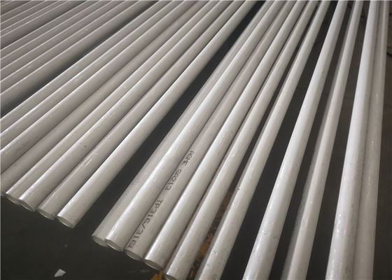 Tubo TP317 inoxidável sem emenda do OD 6mm ASTM 269