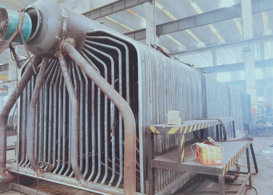 O carvão térmico do óleo da biomassa ateou fogo à caldeira orgânica horizontal do portador de calor
